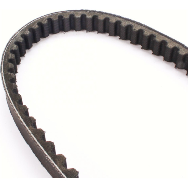 Antriebriemen, Zahnriemen L808xB17,5 Keilriemen