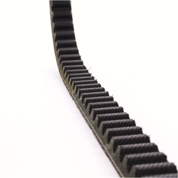 Antriebriemen, Zahnriemen L808xB17,5 Keilriemen