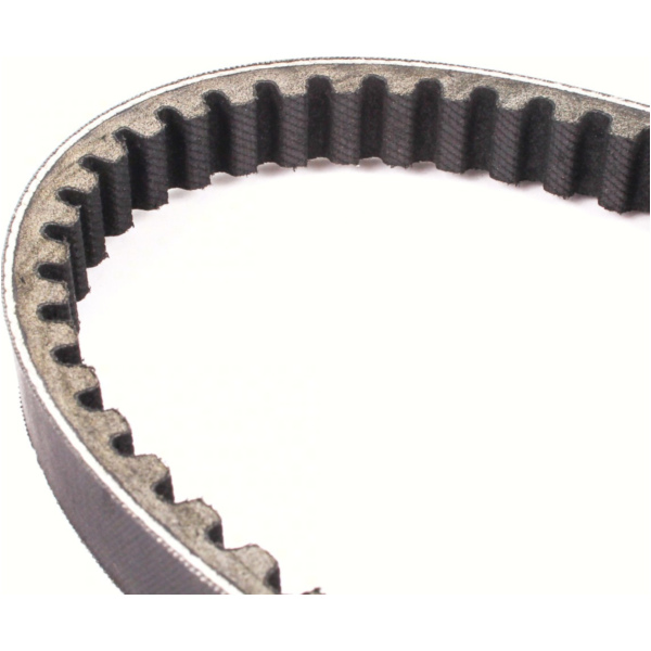 Antriebriemen, Zahnriemen L785xB18,5 Keilriemen