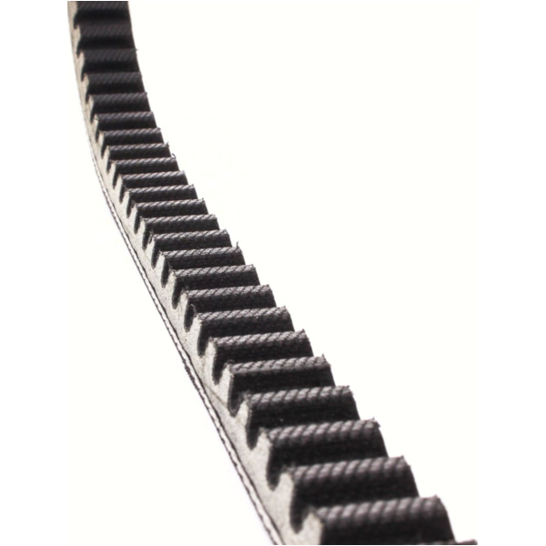 Antriebriemen, Zahnriemen L785xB18,5 Keilriemen