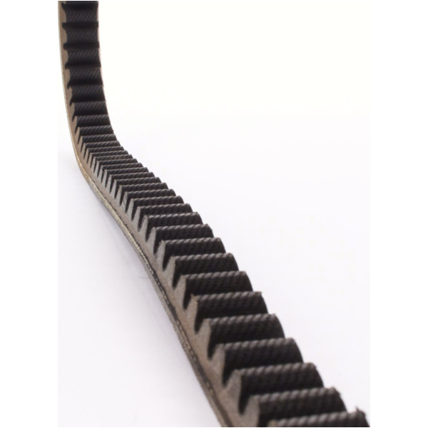 Antriebriemen, Zahnriemen L832xB18,5 Power Plus Keilriemen Aramid verstärkt