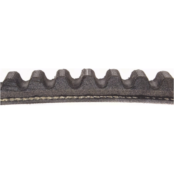 Antriebriemen, Zahnriemen L832xB18,5 Power Plus Keilriemen Aramid verstärkt