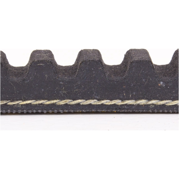 Antriebriemen, Zahnriemen L750xB19,4 Power Plus Keilriemen Aramid verstärkt