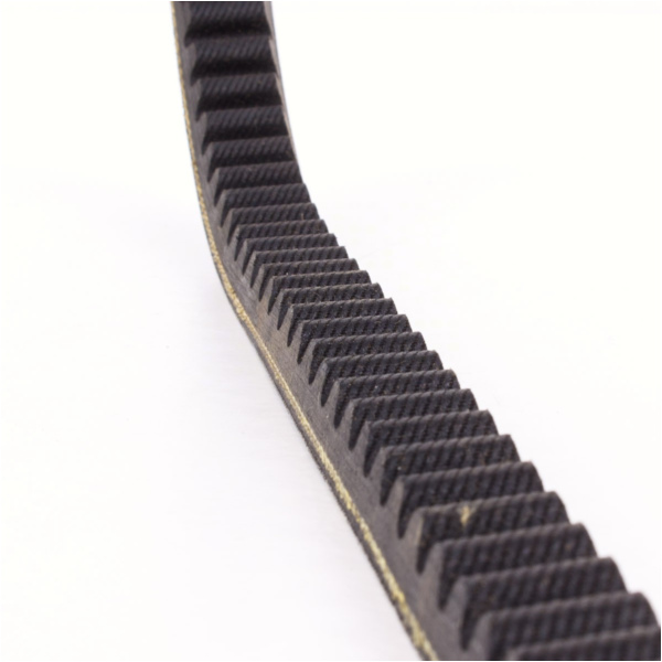 Antriebriemen, Zahnriemen L808xB20,0 Power Plus Keilriemen Aramid verstärkt