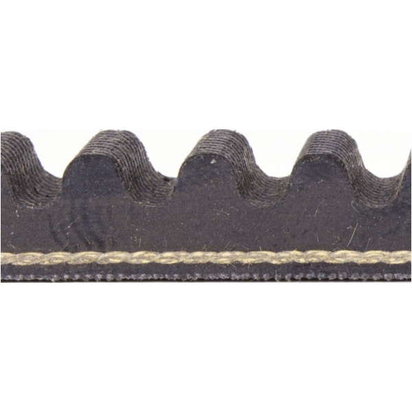 Antriebriemen, Zahnriemen L808xB20,0 Power Plus Keilriemen Aramid verstärkt