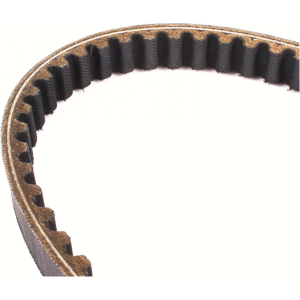 Antriebriemen, Zahnriemen L808xB18,5 Keilriemen