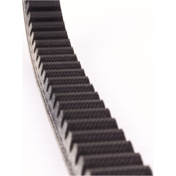 Antriebriemen, Zahnriemen L778xB22,0 Keilriemen