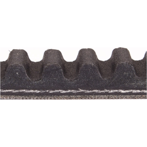 Antriebriemen, Zahnriemen L778xB22,0 Keilriemen