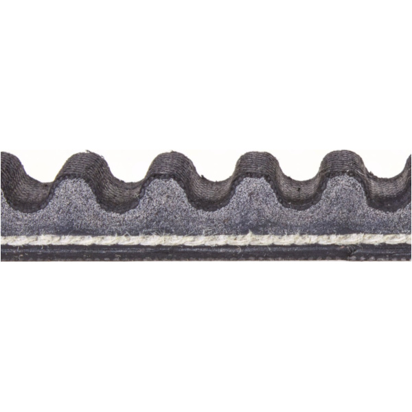 Antriebriemen, Zahnriemen L800xB20,0 Power Plus Keilriemen Aramid verstärkt