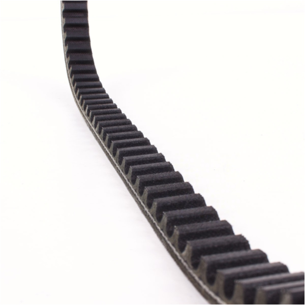 Antriebriemen, Zahnriemen L770xB17,5 Keilriemen