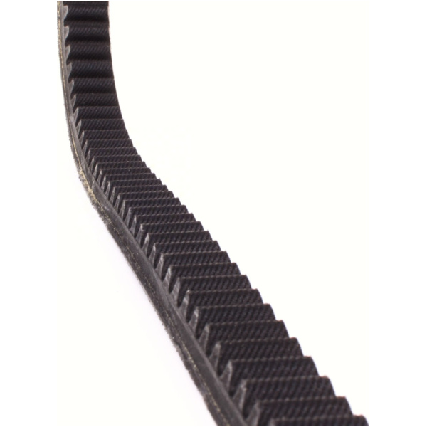 Antriebriemen, Zahnriemen L1006xB22,8 Power Plus Keilriemen Aramid verstärkt