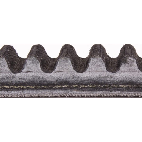 Antriebriemen, Zahnriemen L1006xB22,8 Power Plus Keilriemen Aramid verstärkt