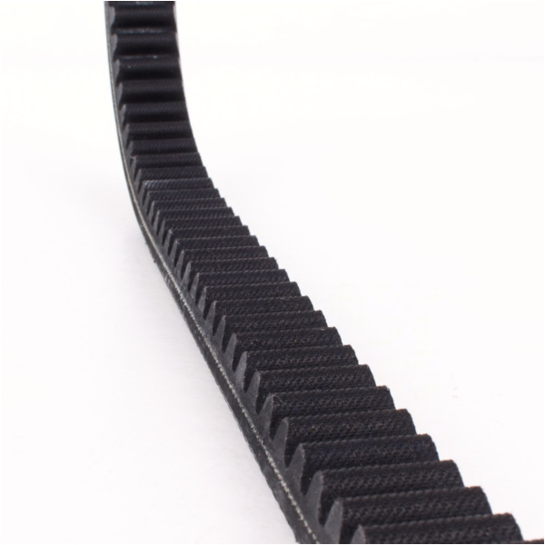 Antriebriemen, Zahnriemen L1036xB28,0 Power Plus Keilriemen Aramid verstärkt