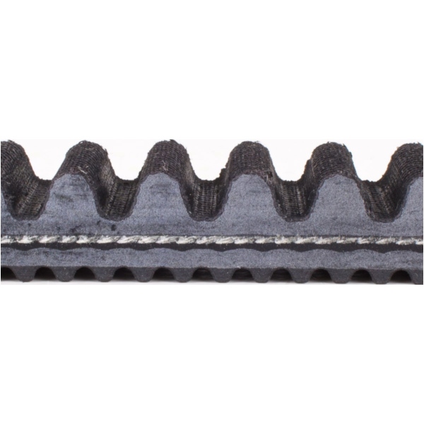 Antriebriemen, Zahnriemen L1036xB28,0 Power Plus Keilriemen Aramid verstärkt