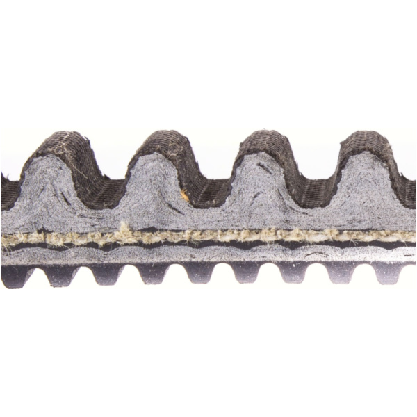 Antriebriemen, Zahnriemen L1050xB24,5 Power Plus Keilriemen Aramid verstärkt