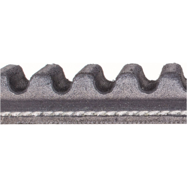 Antriebriemen, Zahnriemen L907xB24,0 Power Plus Keilriemen Aramid verstärkt