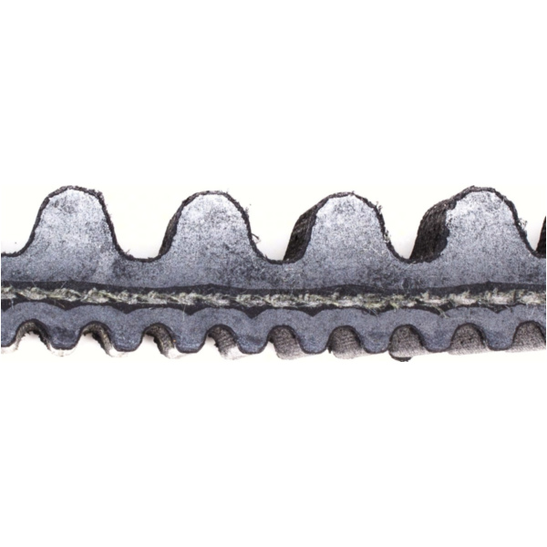 Antriebriemen, Zahnriemen L835xB22,6 Power Plus Keilriemen Aramid verstärkt