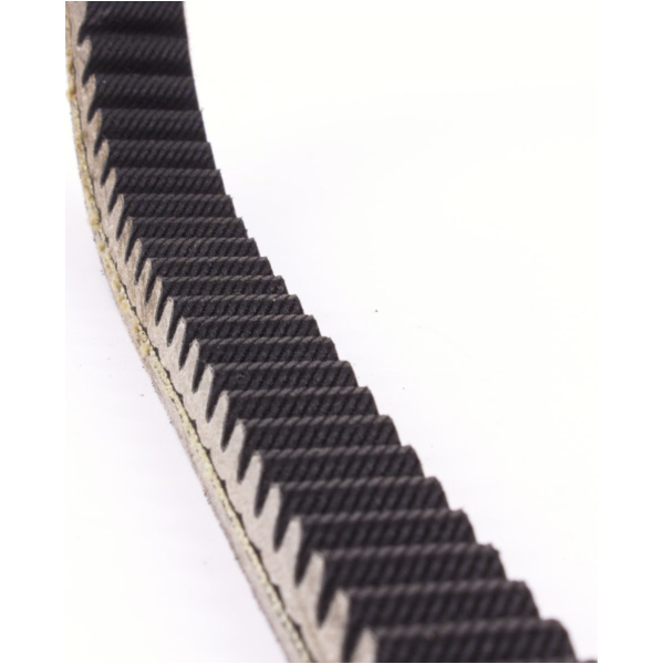 Antriebriemen, Zahnriemen L792xB21,8 Power Plus Keilriemen Aramid verstärkt