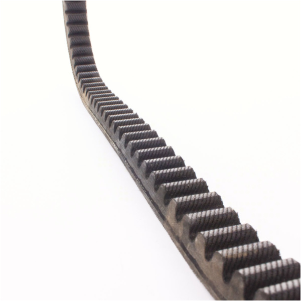 Antriebriemen, Zahnriemen L761xB19,5 Power Plus Keilriemen Aramid verstärkt