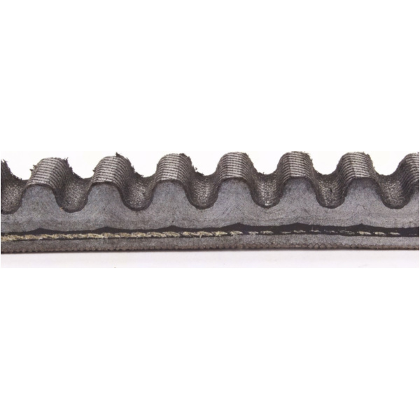 Antriebriemen, Zahnriemen L761xB19,5 Power Plus Keilriemen Aramid verstärkt