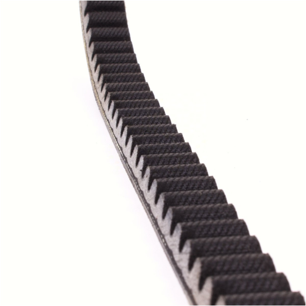 Antriebriemen, Zahnriemen L817xB19,5 Power Plus Keilriemen Aramid verstärkt