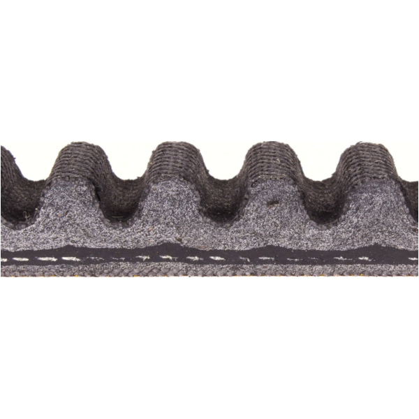 Antriebriemen, Zahnriemen L817xB19,5 Power Plus Keilriemen Aramid verstärkt