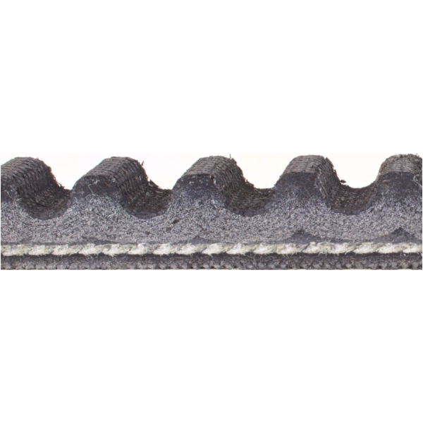 Antriebriemen, Zahnriemen L803xB19,0 Power Plus Keilriemen Aramid verstärkt