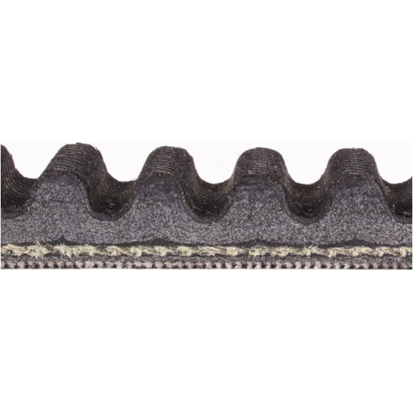 Antriebriemen, Zahnriemen L815xB19,7 Power Plus Keilriemen Aramid verstärkt