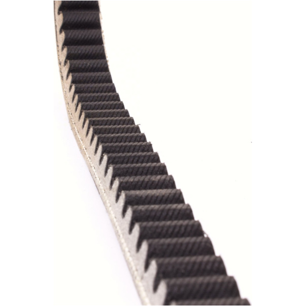 Antriebriemen, Zahnriemen L768xB19,3 Power Plus Keilriemen Aramid verstärkt