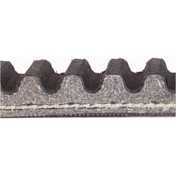 Antriebriemen, Zahnriemen L768xB19,3 Power Plus Keilriemen Aramid verstärkt