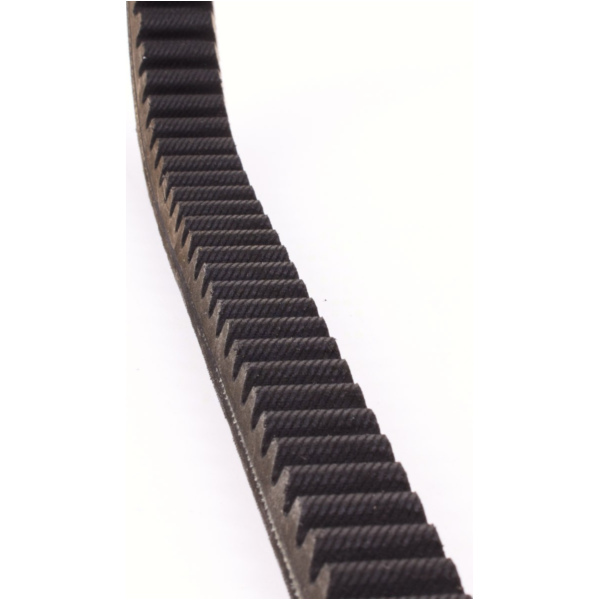 Antriebriemen, Zahnriemen L923xB23,0 Power Plus Keilriemen Aramid verstärkt