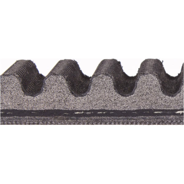 Antriebriemen, Zahnriemen L923xB23,0 Power Plus Keilriemen Aramid verstärkt