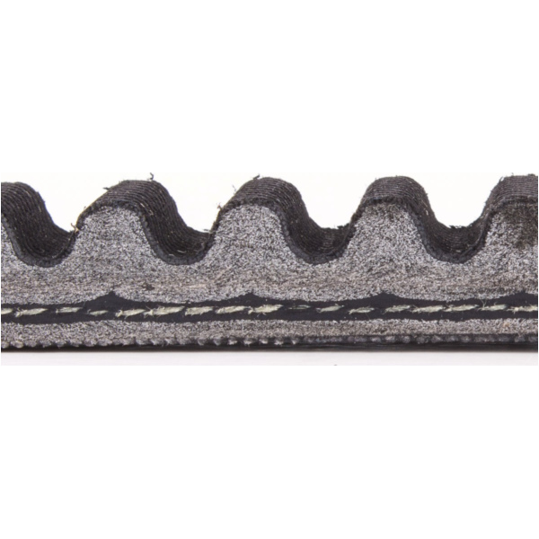 Antriebriemen, Zahnriemen L811xB19,4 Power Plus Keilriemen Aramid verstärkt