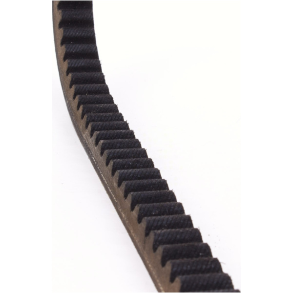 Antriebriemen, Zahnriemen L815xB19,2 Power Plus Keilriemen Aramid verstärkt