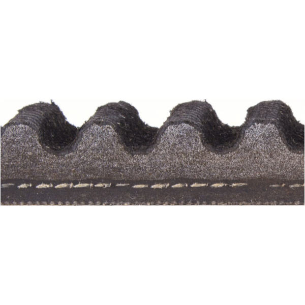 Antriebriemen, Zahnriemen L815xB19,2 Power Plus Keilriemen Aramid verstärkt