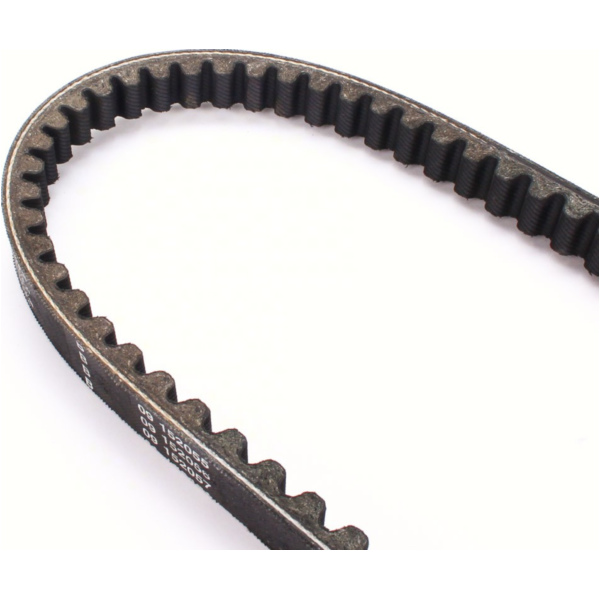 Antriebriemen, Zahnriemen L800xB17,2 Keilriemen