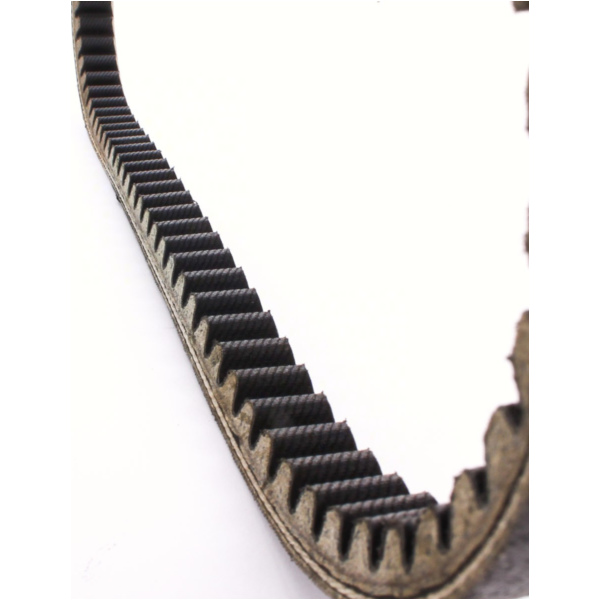 Antriebriemen, Zahnriemen L800xB17,2 Keilriemen