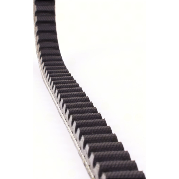 Antriebriemen, Zahnriemen L801xB18,6 Power Plus Keilriemen Aramid verstärkt