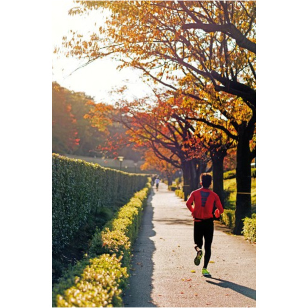 Handy Armbandtasche - Medium - Schwarz