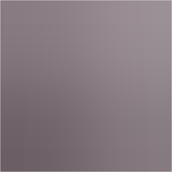 V-System special für: Ducati Multistrada