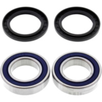 Radlager Satz All Balls Racing 251321