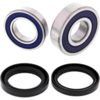 Radlager Satz All Balls Racing 251689