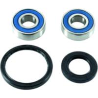 Radlager Satz All Balls Racing 251744