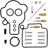 Vergaser Reparatursatz All Balls Racing 261364