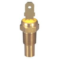 Kühlmitteltemperatursensor ID