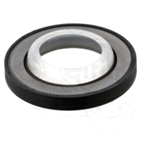 Simmerring Wellendichtring ID 424841