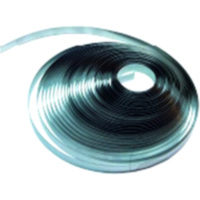 UNIVERSALSPANNBAND 10 Meter