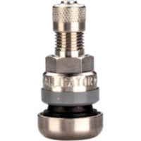 Metallventil 31MS ASC HT