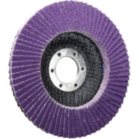 FAECHERSCHLEIFSCH115 K60+