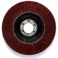 FAECHERSCHLEIFSCH125 K60+